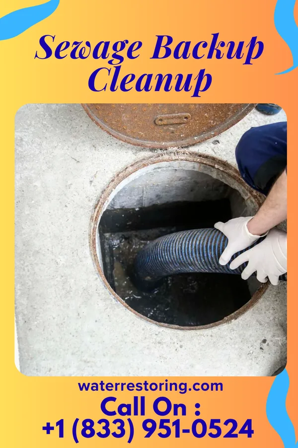 Sewage Backup Cleanup in Kennedale, TX