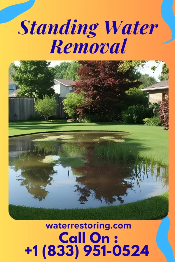 Standing Water Removal in Kennedale, TX